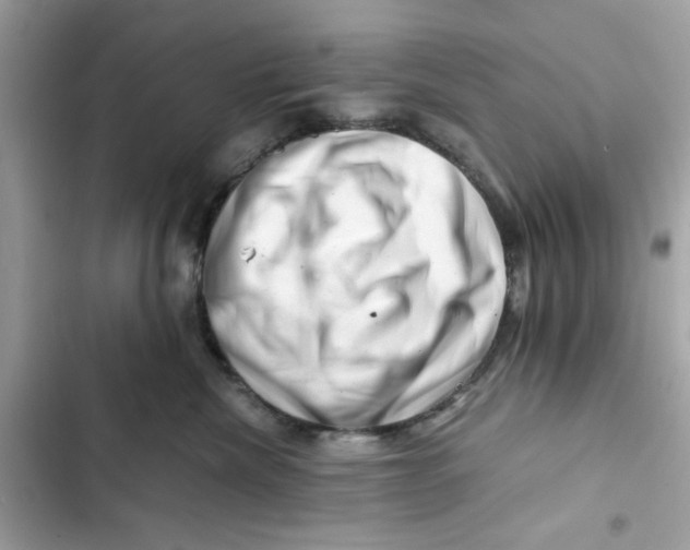 X0000101960476200808151319