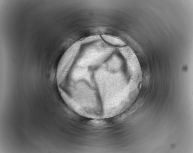 X0000101960477200808151319