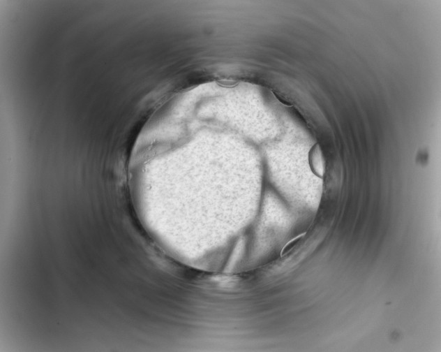 X0000101960478200808151319