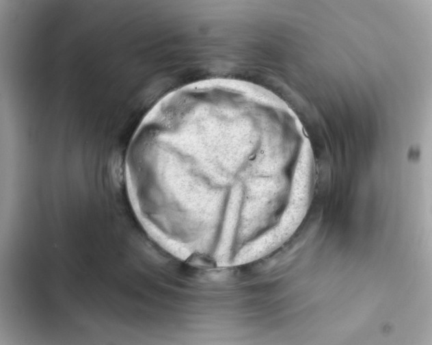 X0000101960479200808151319