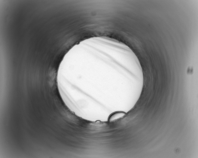 X0000101960480200808151319