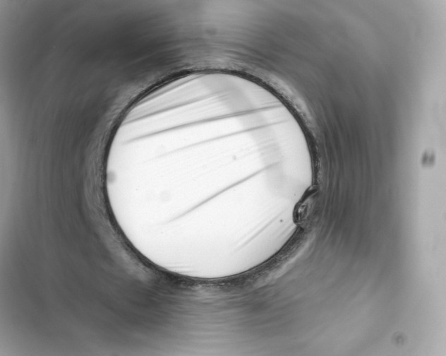 X0000101960481200808151319