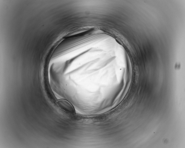 X0000101960482200808151319