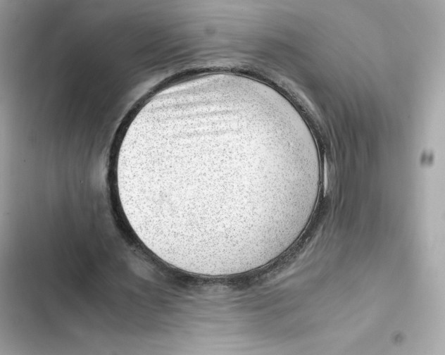 X0000101960483200808151319