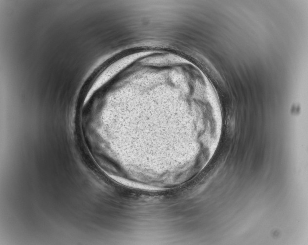 X0000101960484200808151319
