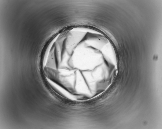 X0000101960485200808151319
