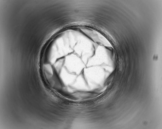 X0000101960486200808151319
