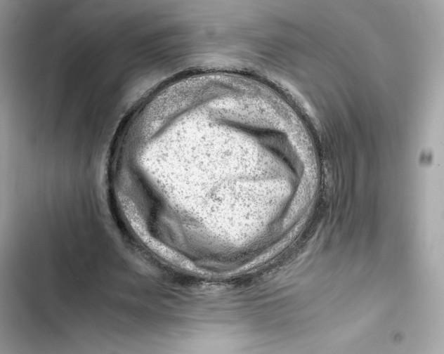 X0000101960487200808151319
