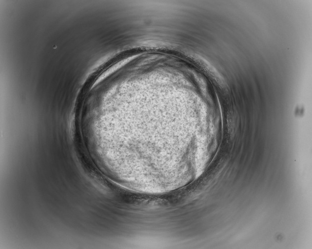 X0000101960488200808151319