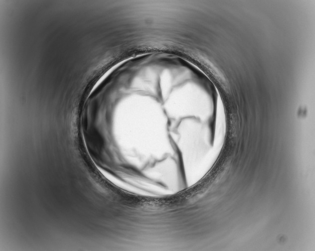 X0000101960489200808151319