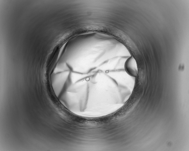X0000101960490200808151318
