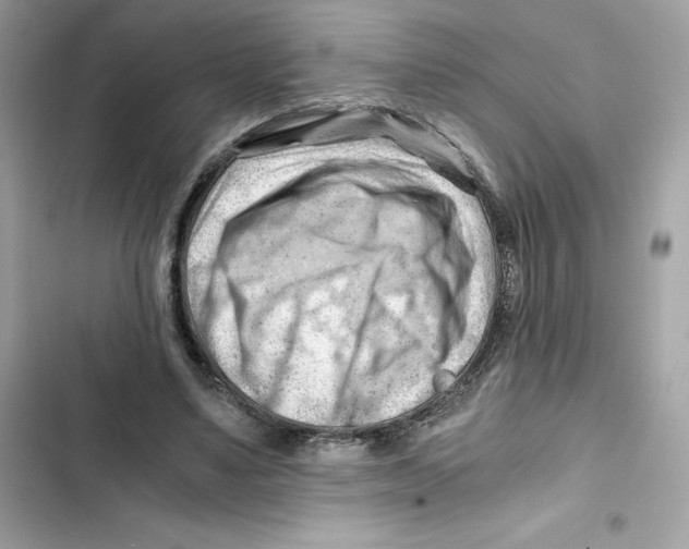 X0000101960491200808151318