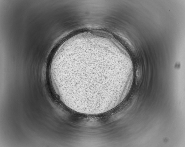 X0000101960492200808151318