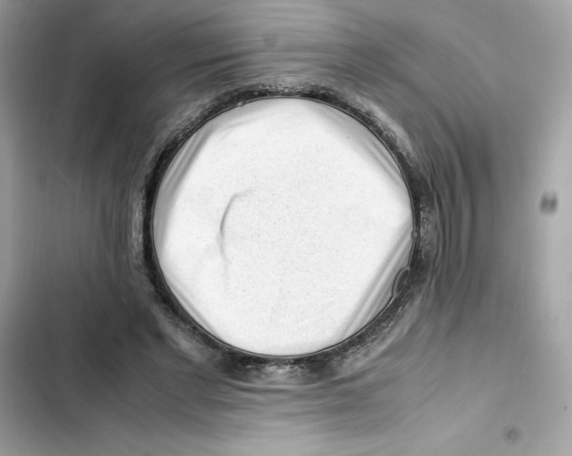 X0000101960493200808151318