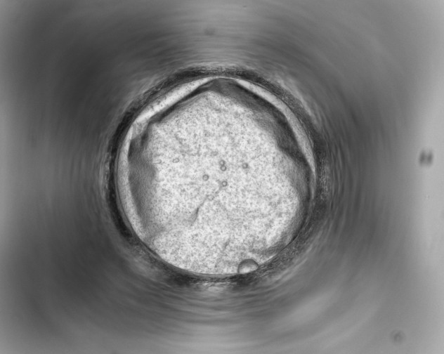 X0000101960495200808151318