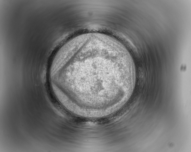X0000101960496200808151318