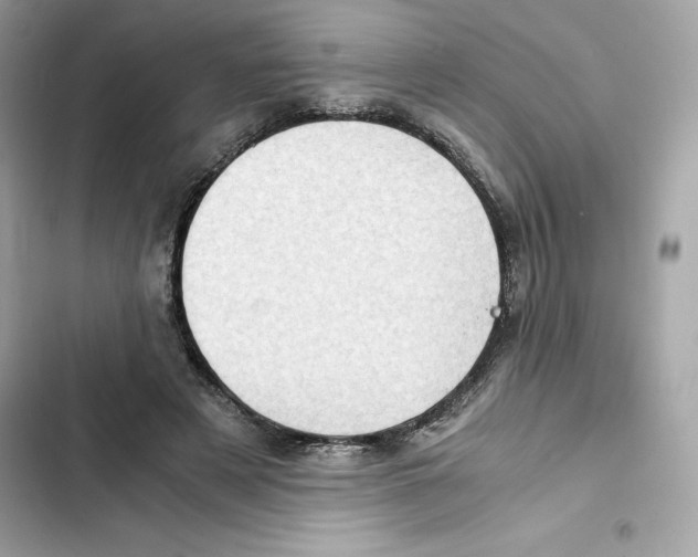 X0000101960497200808151318