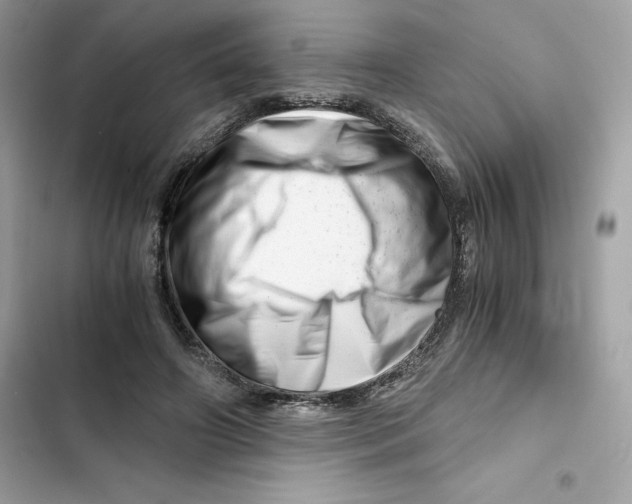 X0000101960498200808151318