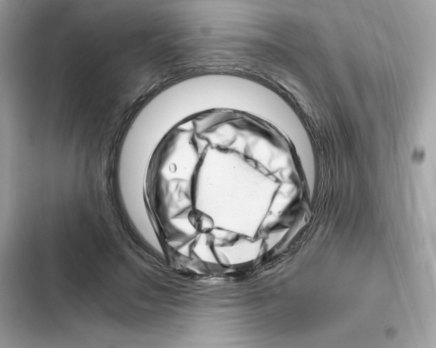 X0000101960499200808151318