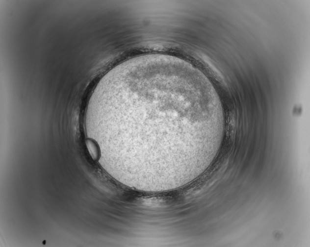 X0000101960500200808151318