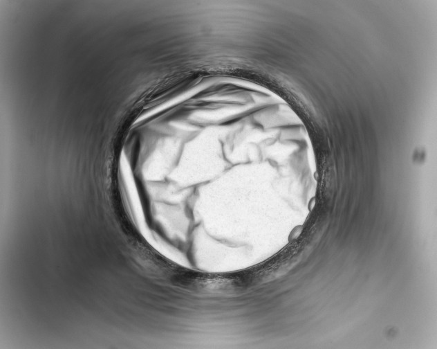 X0000101960501200808151318