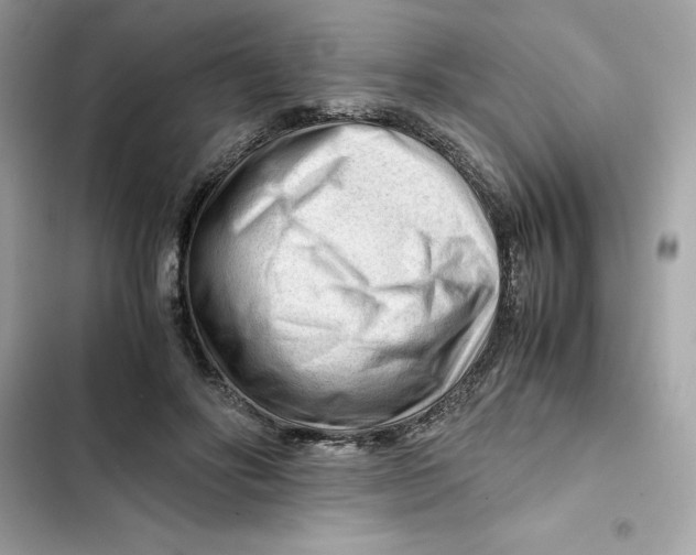 X0000101960502200808151318