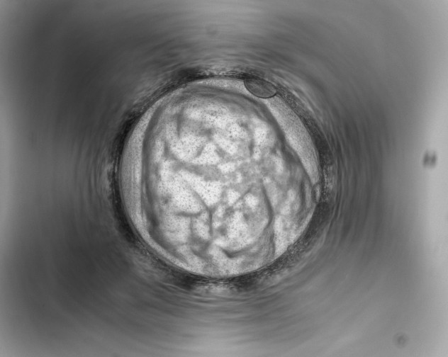 X0000101960503200808151318