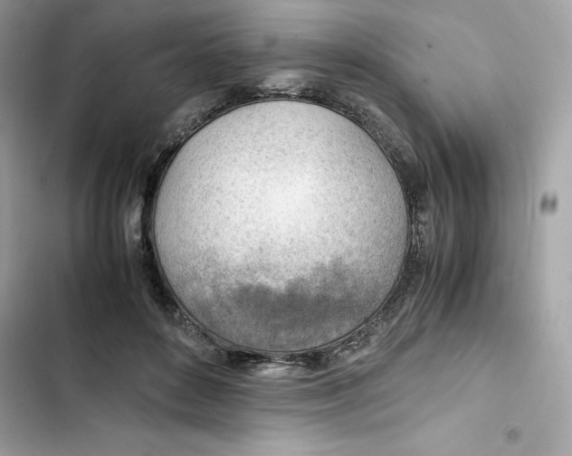 X0000101960504200808151318