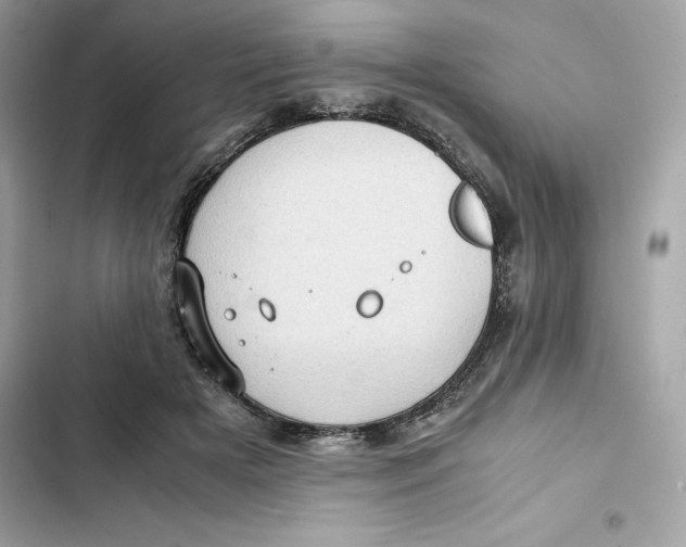 X0000101960505200808151318