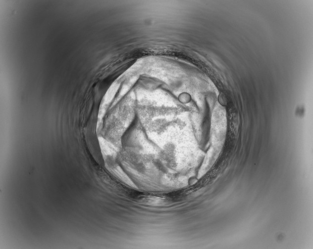 X0000101960507200808151318