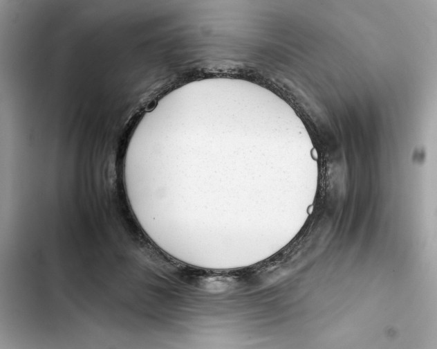 X0000101960508200808151318
