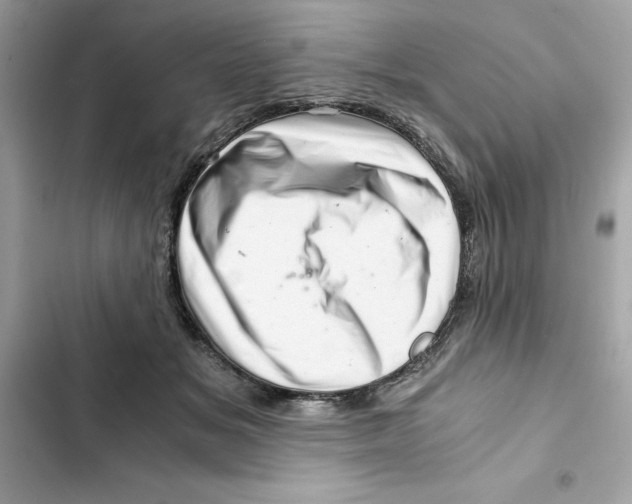 X0000101960509200808151318