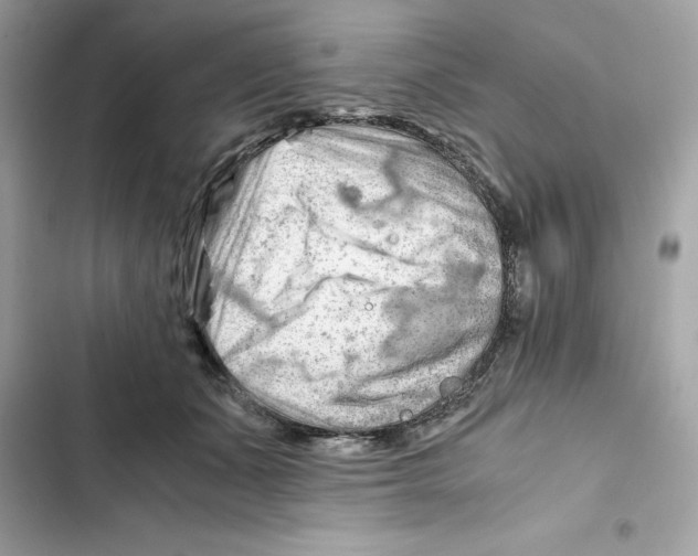 X0000101960511200808151318