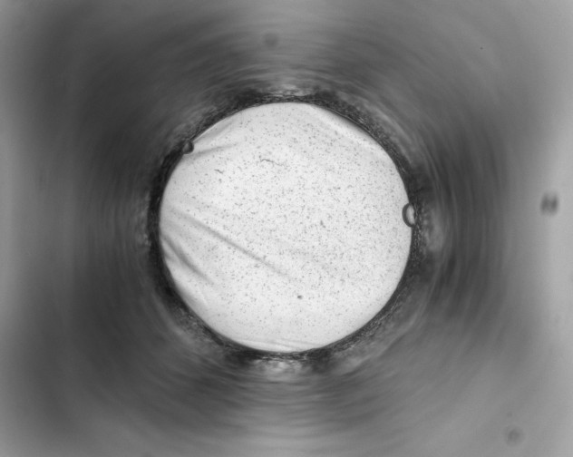 X0000101960512200808151318