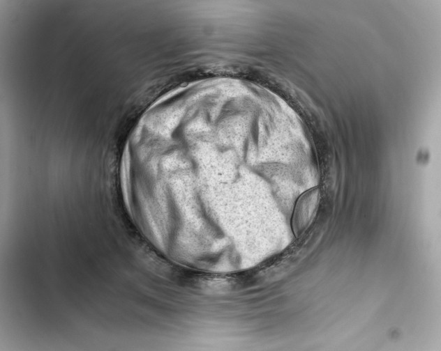 X0000101960513200808151318
