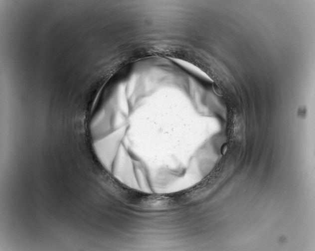 X0000101960514200808151318