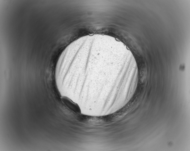 X0000101960515200808151318