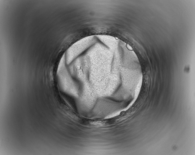 X0000101960516200808151318