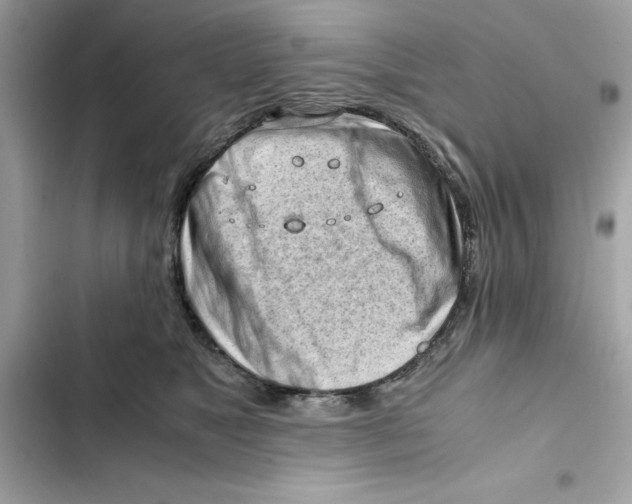 X0000101960517200808151318