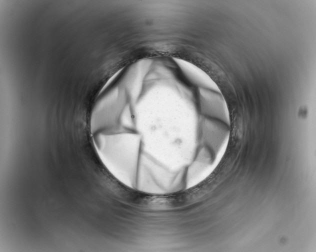 X0000101960518200808151318