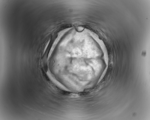 X0000101960519200808151318