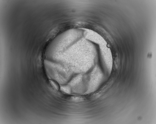 X0000101960520200808151318