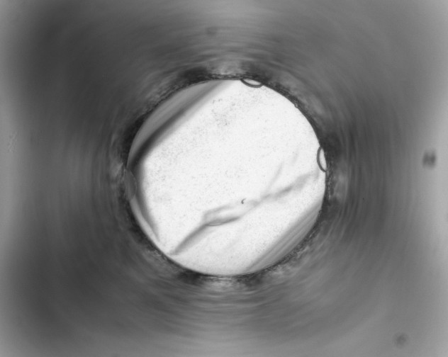 X0000101960521200808151318