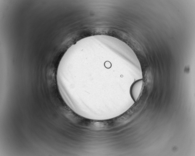 X0000101960522200808151318