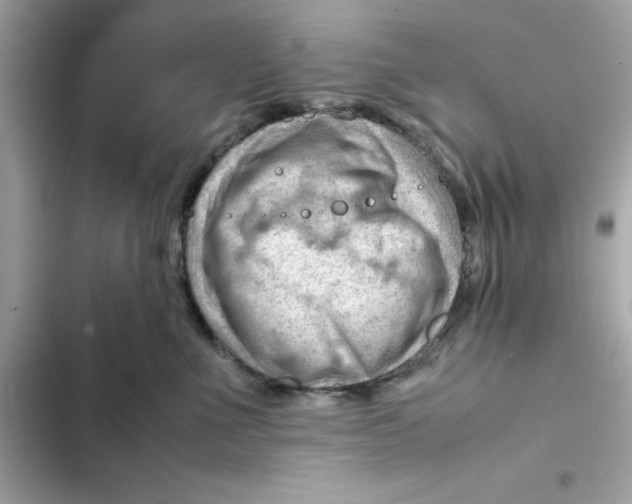 X0000101960523200808151318