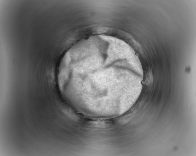 X0000101960524200808151318