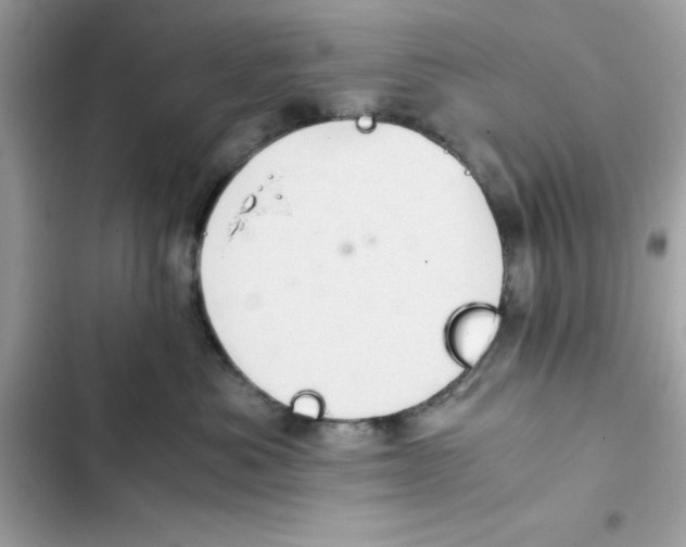 X0000101960525200808151318