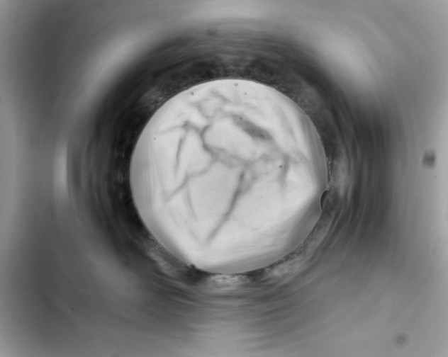 X0000101960526200808151318