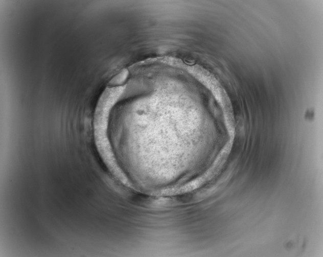 X0000101960527200808151318