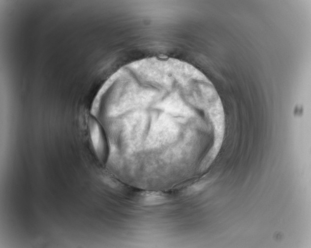 X0000101960528200808151318